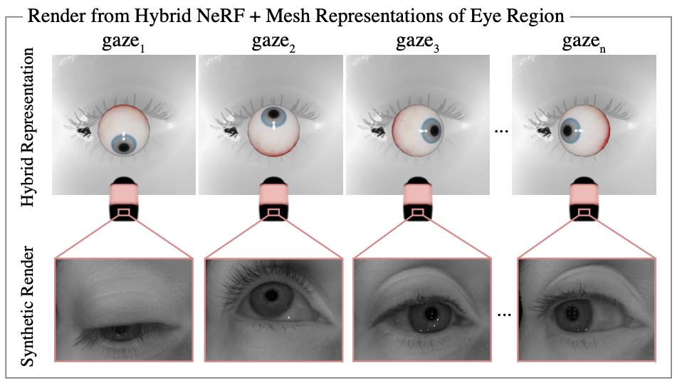 3D eye surface NeRF reconstruction with corneal geometry